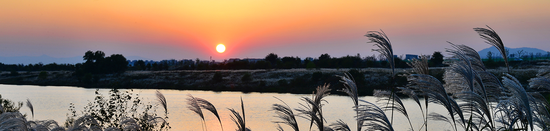 지자체 히어로 이미지