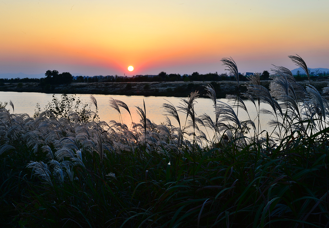 지자체 히어로 이미지