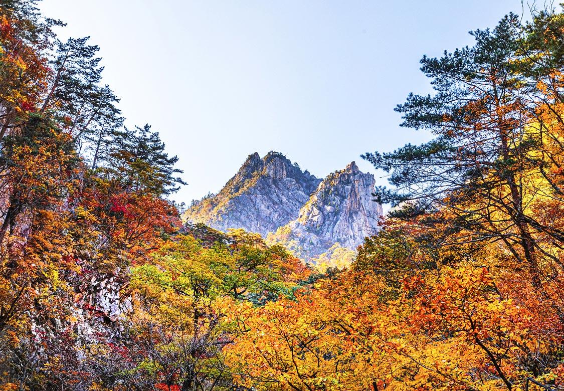 지자체 히어로 이미지