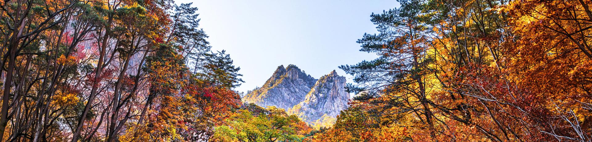 지자체 히어로 이미지