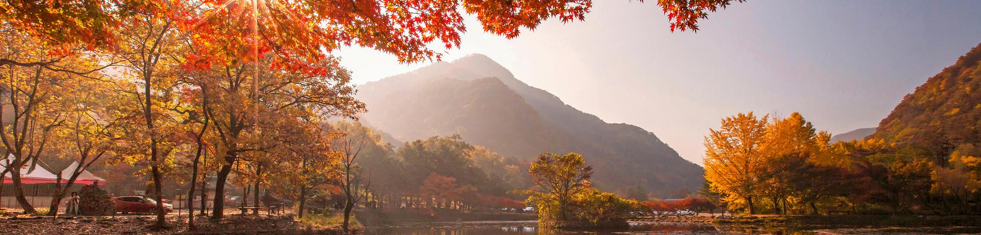 지자체 히어로 이미지