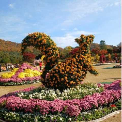 다람쥐 🐿 🐿 🐿 프로필