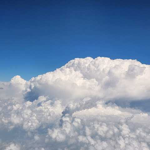 무척춤추는세탁기 프로필