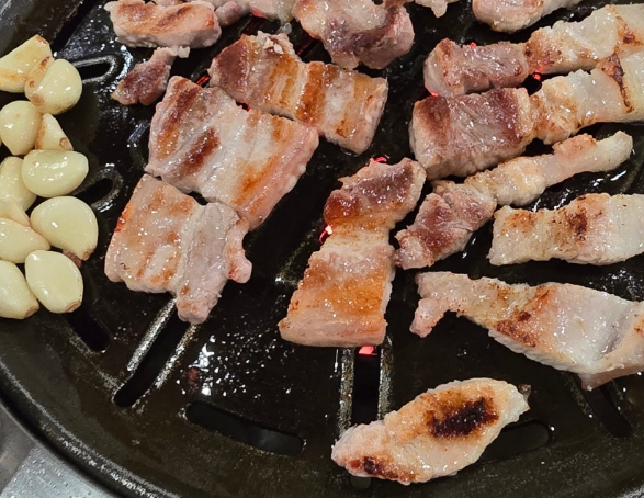 현재활기찬카메라 프로필