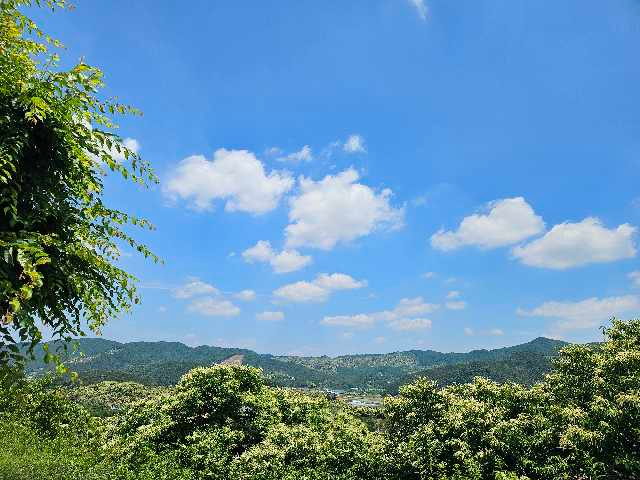 🏖행복을부르는요정 프로필