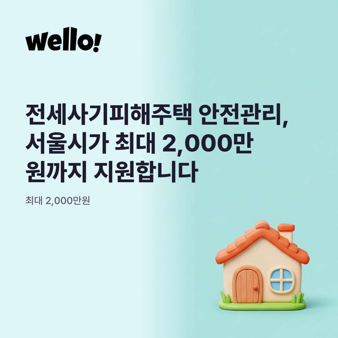 피드 이미지 1