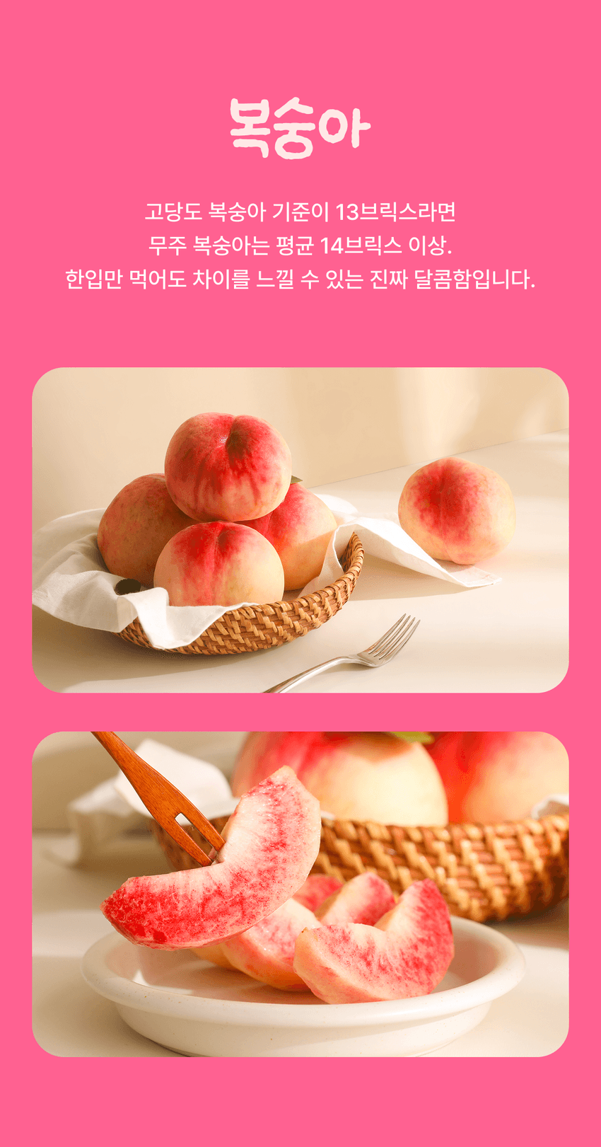 복숭아 이미지