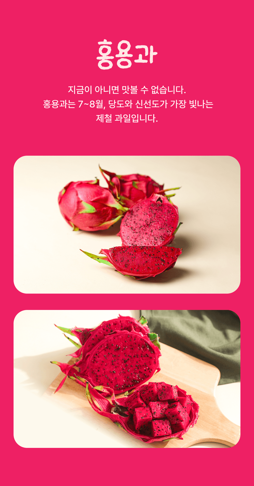홍용과 이미지