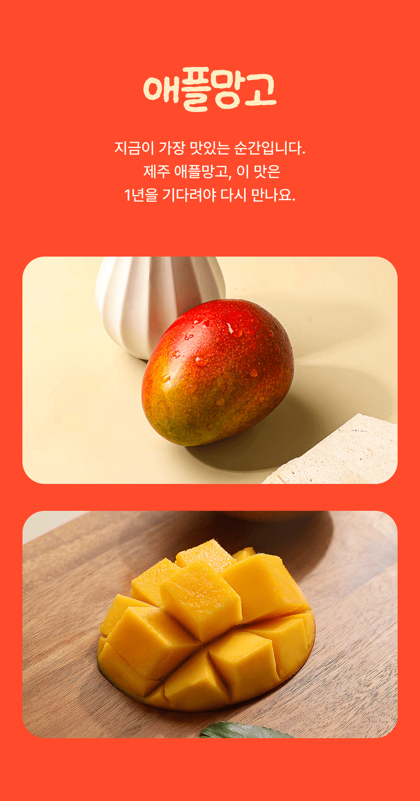 애플망고 이미지