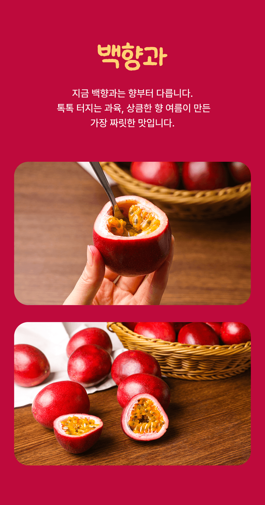 백향과 이미지