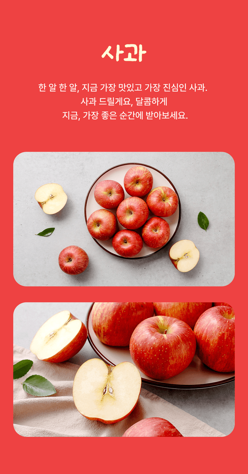 사과 이미지