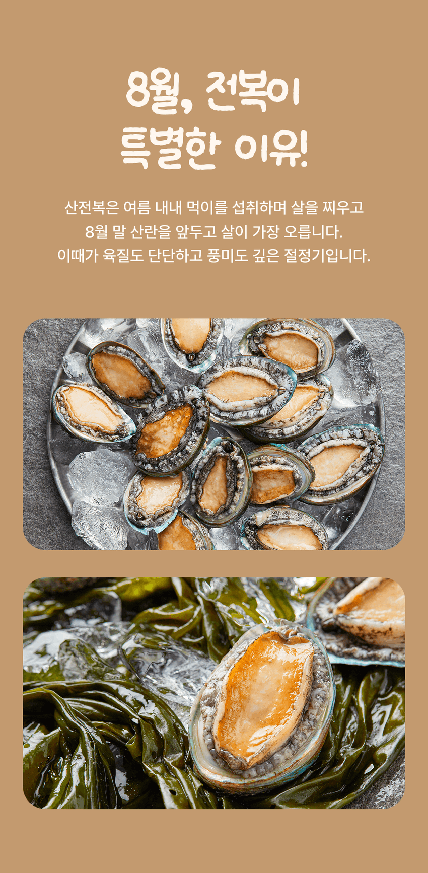 8월, 전복이 특별한 이유! 이미지