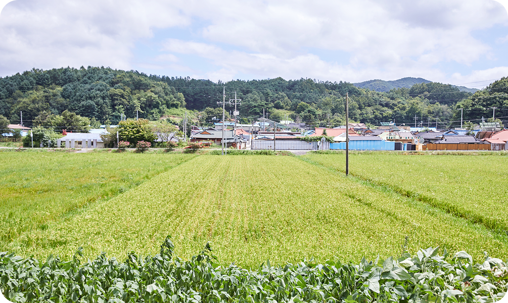 지역 마을 풍경